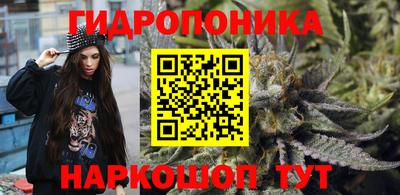 круглые Гусев