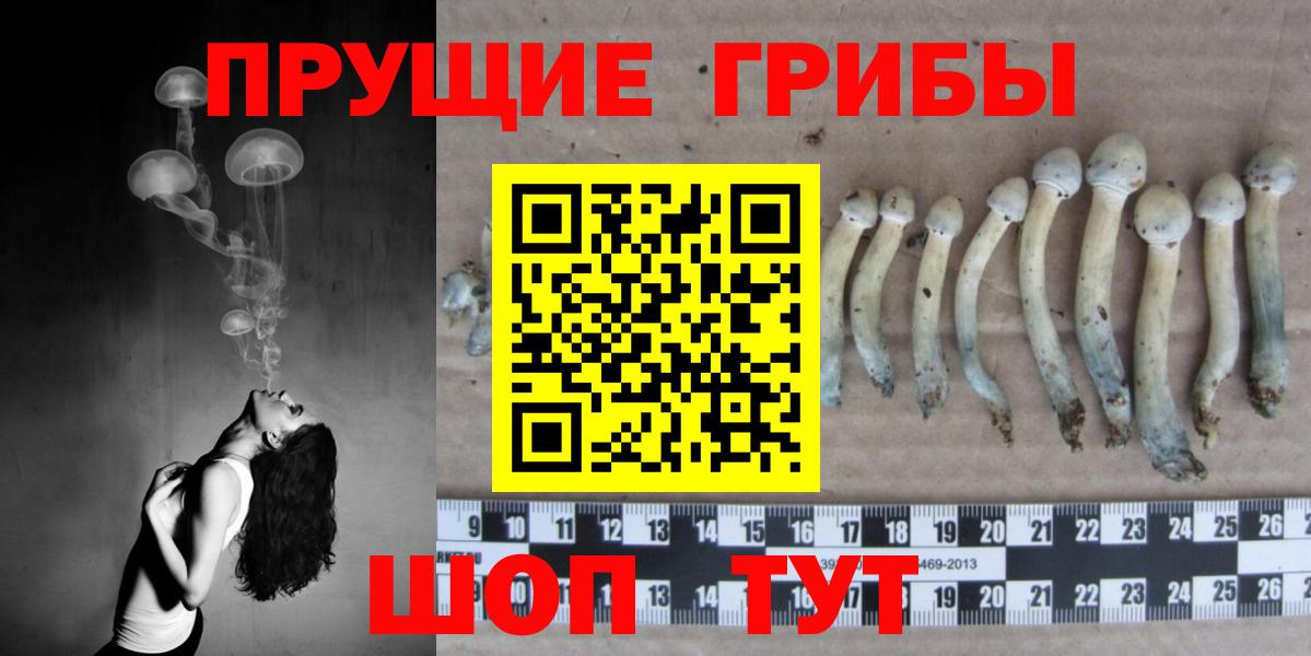 Псилоцибиновые грибы Cubensis Мурманск