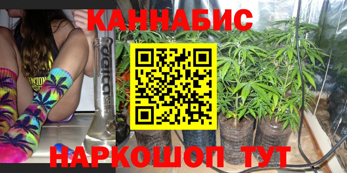 Бошки Шишки индика Мурманск
